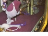 miederwaren-berlin-prenzlauer-berg-chrismas1986-